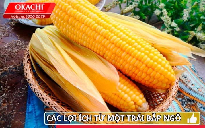 Các lợi ích từ trái bắp
