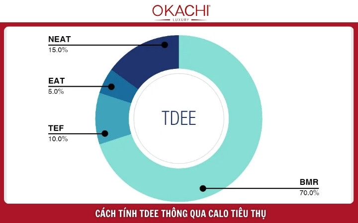cach tinh tdee thong qua calo tieu thu