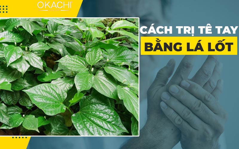 Chữa bệnh tê tay chân bằng lá lốt