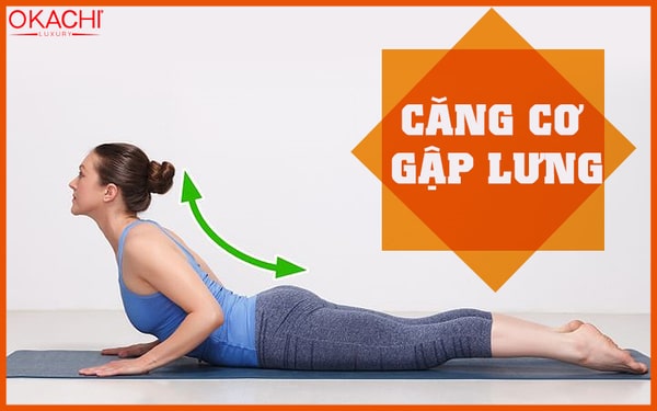 Căng cơ gập lưng