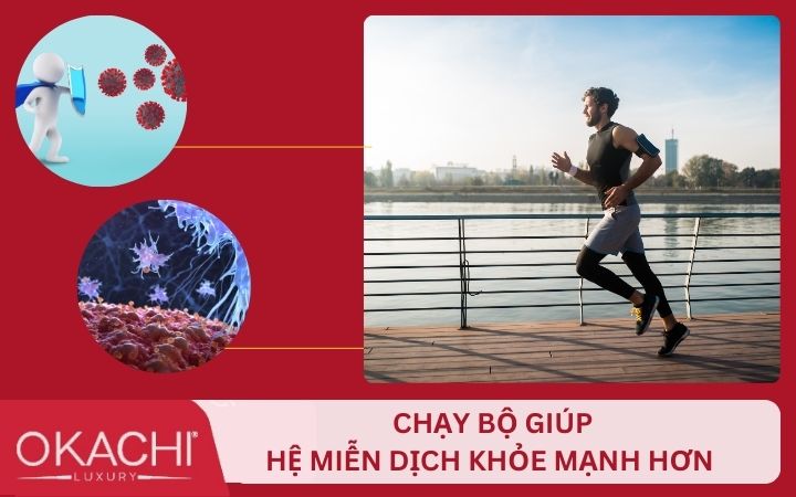 chạy bộ tăng cường hệ miễn dịch