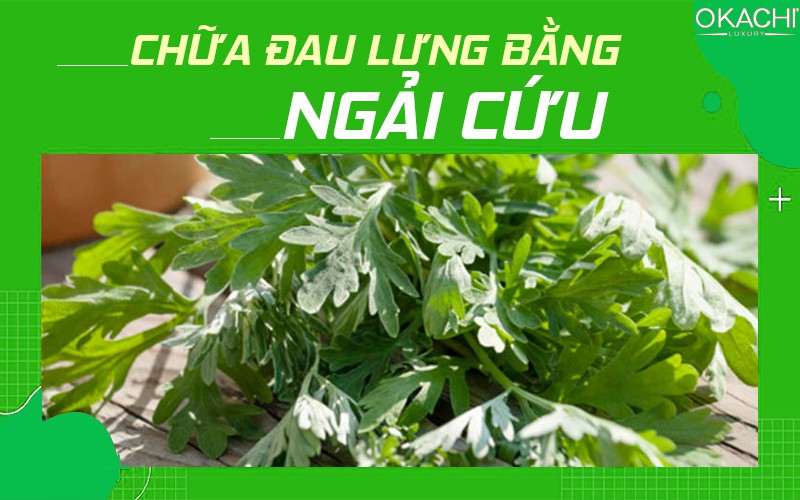Chữa đau lưng bằng ngải cứu
