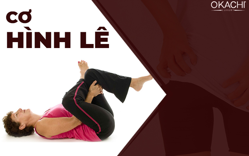 Cơ hình lê