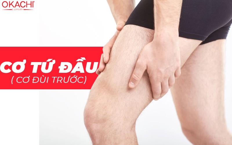 cơ tú đầu ( cơ đùi trước)