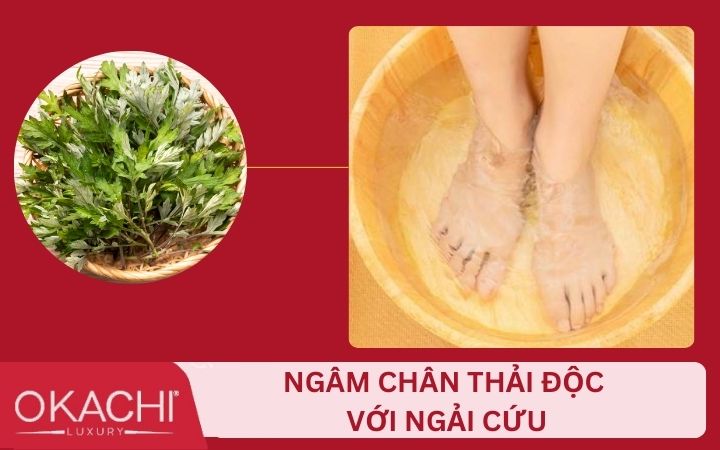 Cách làm nước ngâm chân thải độc với lá ngải cứu