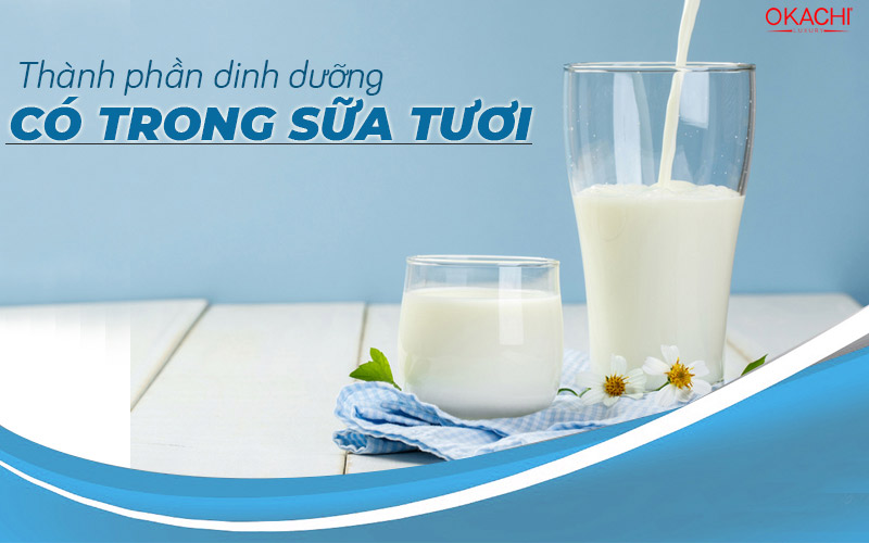 Thành phần dinh dưỡng có trong sữa tươi