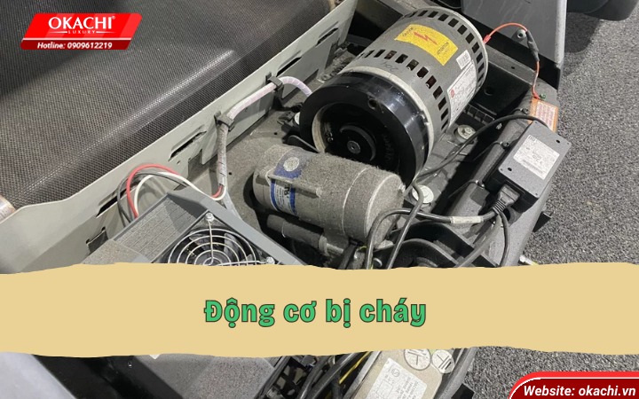 dong-co-may-chay-bo-bi-chay