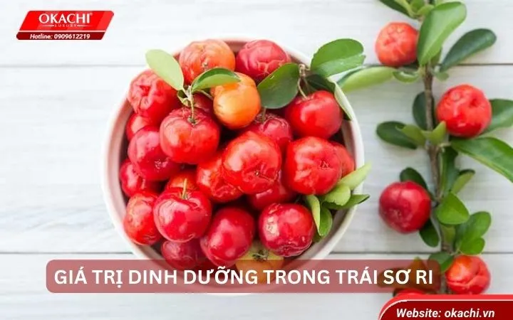 Giá trị dinh dưỡng trong trái sơ ri