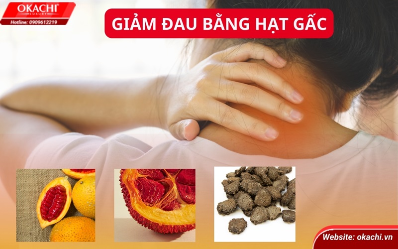 Giảm đau bằng hạt gấc