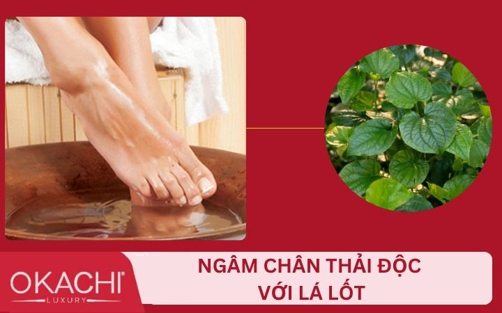 Công thức ngâm chân thải độc với lá lốt