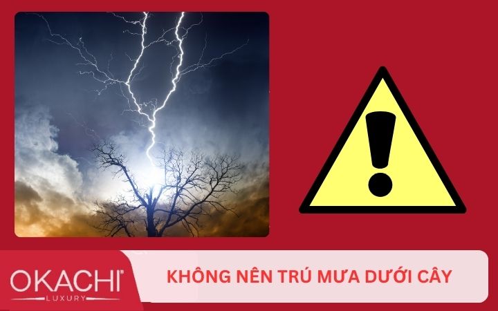khong nen tru mua duoi cay khi chay bo trong mua 