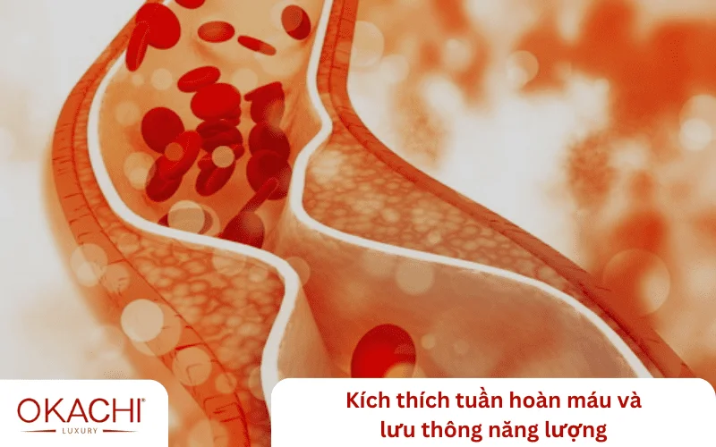 Kích thích tuần hoàn máu và lưu thông năng lượng