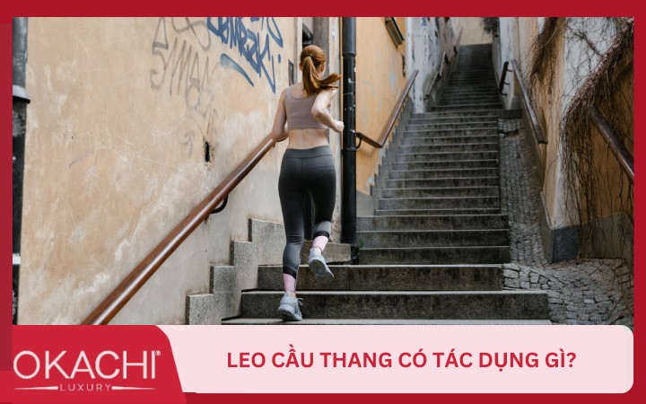 leo cau thang co tac dung gi