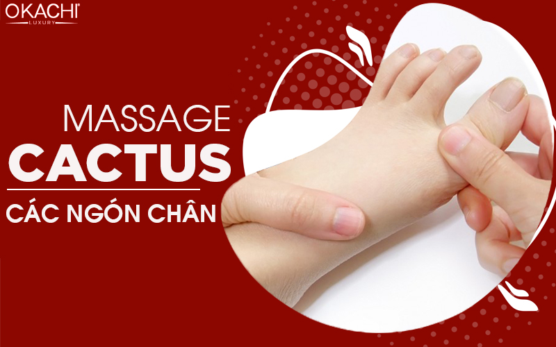 Massage cactus ngón chân