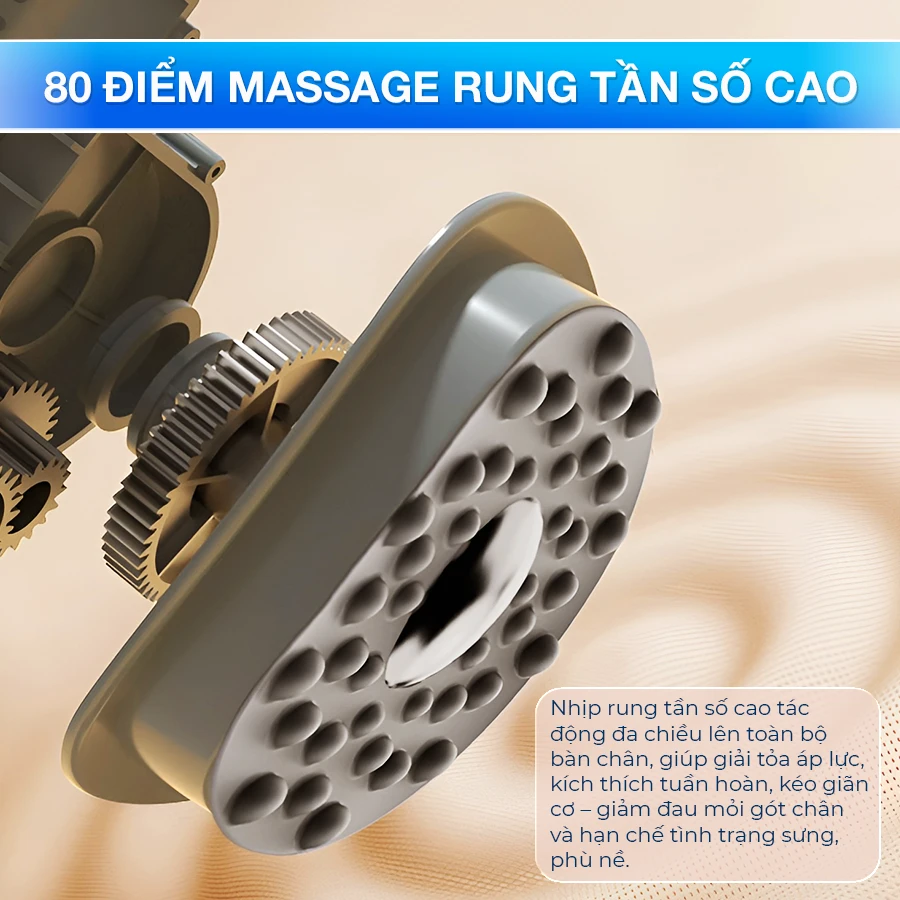 80 điểm massage rung jp-801