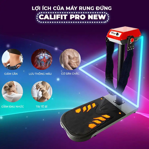 Máy rung bụng đứng Pro New 450W