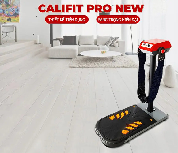 Máy rung bụng đứng Pro New 450W