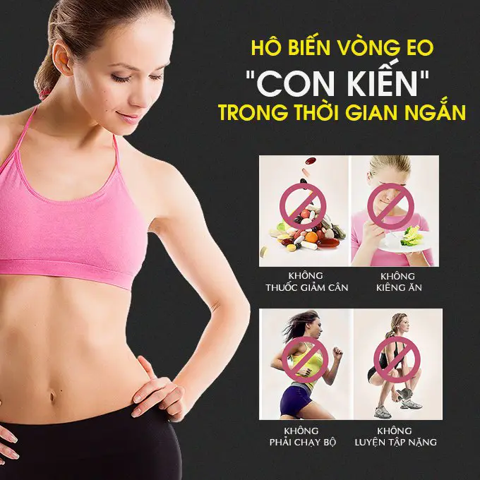 Máy rung toàn thân Body Califit CF-600