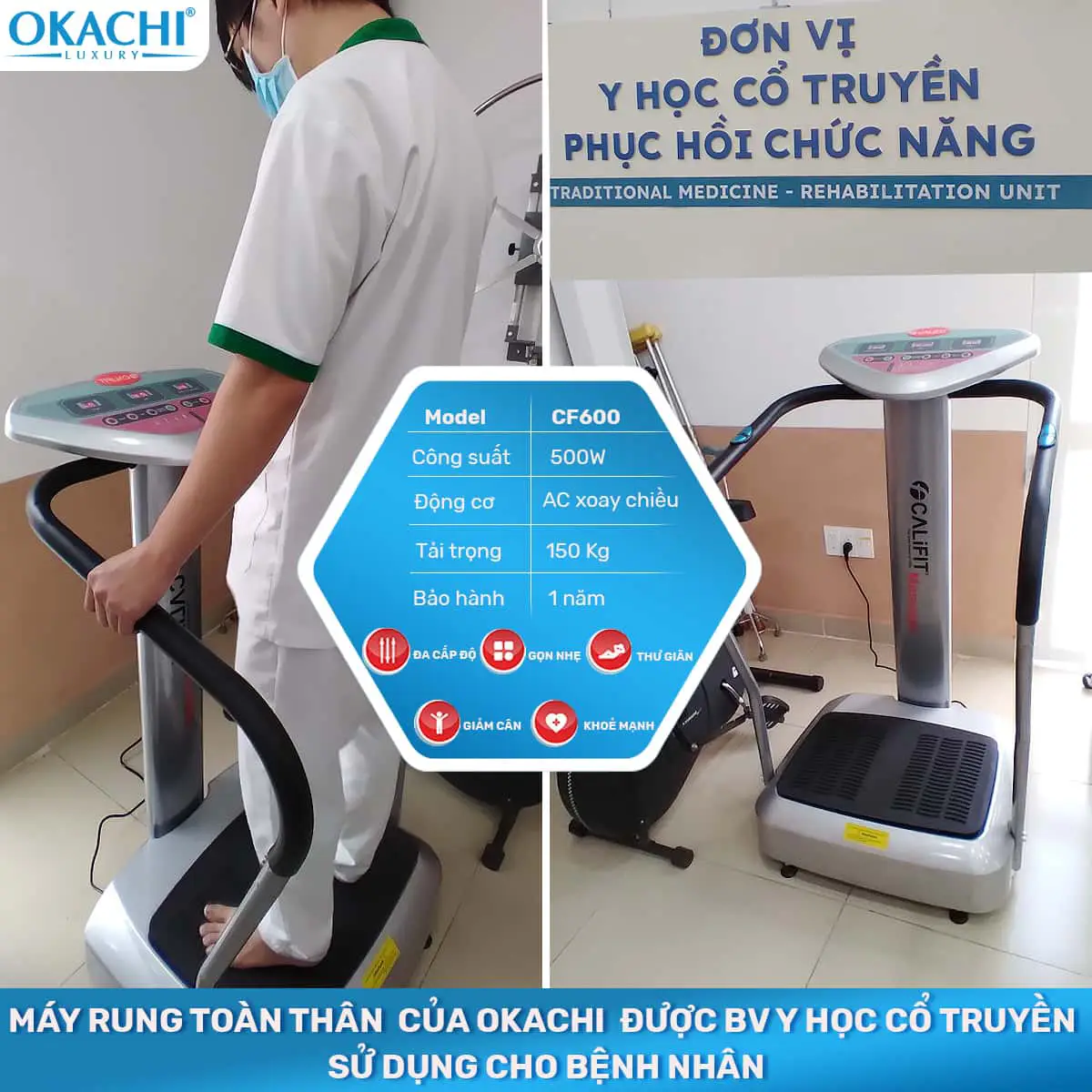 Máy rung toàn thân Body Califit CF-600