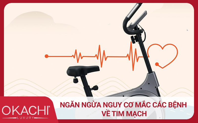 Ngăn ngừa nguy cơ mắc các bệnh về tim mạch