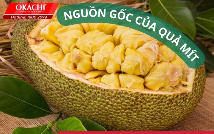 Thành phần dinh dưỡng và nguồn gốc quả mít
