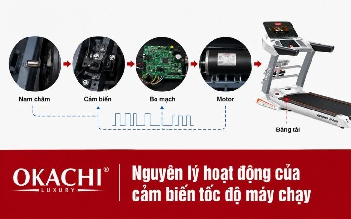 nguyên lí hoạt động của cảm biến tốc độ trên máy chạy bộ 
