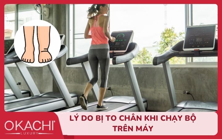 nguyen nhan chan bi to khi chay bo tren may