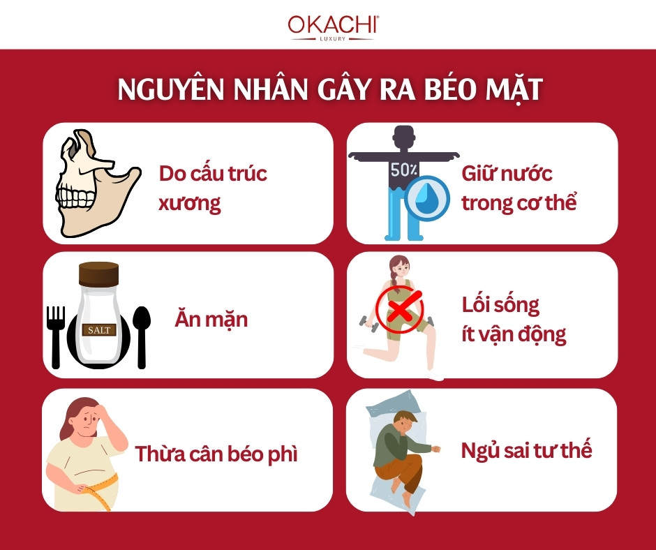 nguyen nhan gay ra beo mat