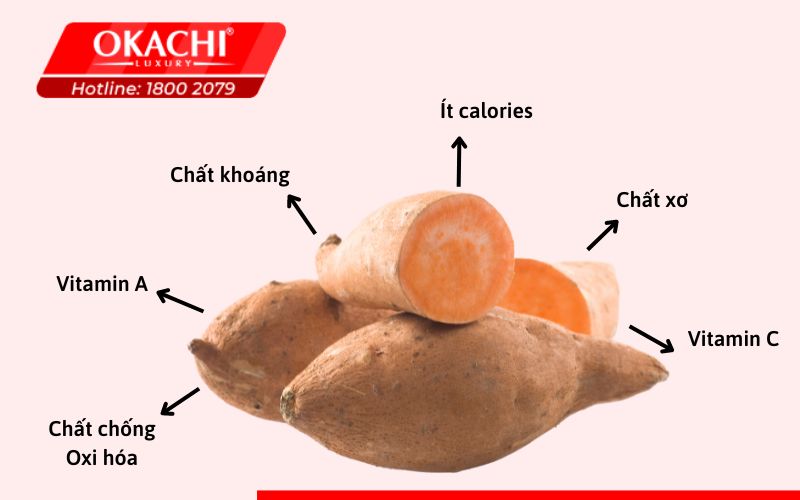 Nhiều khoáng chất và vitamin