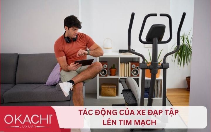 vai tro va tac dong cua tim mach khi dap xe dap tap