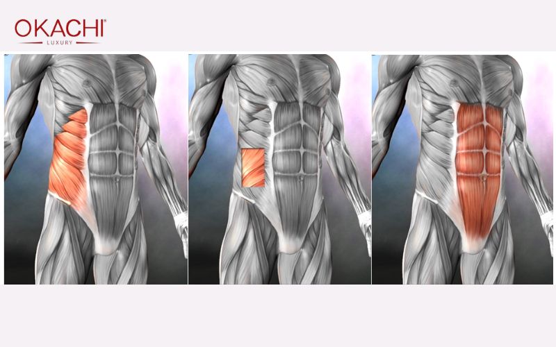 Tác dụng của cơ vùng core đối với cơ thể