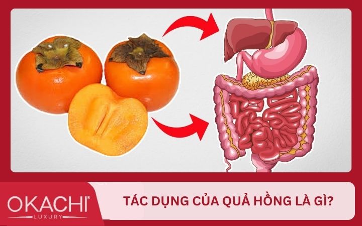 Tác dụng của quả hồng là gì?