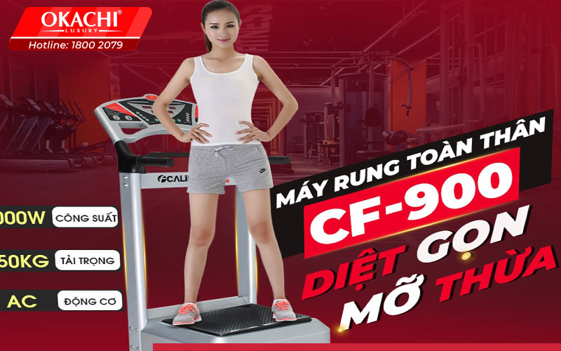 Tại sao nên mua máy rung toàn thân ở Bến Tre tại Okachi?