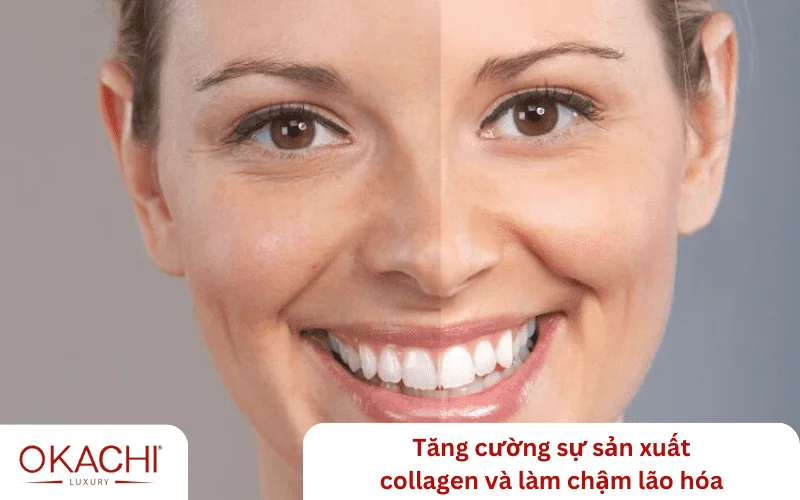 Tăng cường sự sản xuất collagen và làm chậm lão hóa