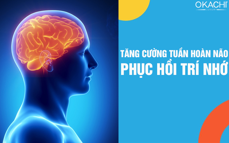 Tăng cường tuần hoàn não, phục hồi trí nhớ