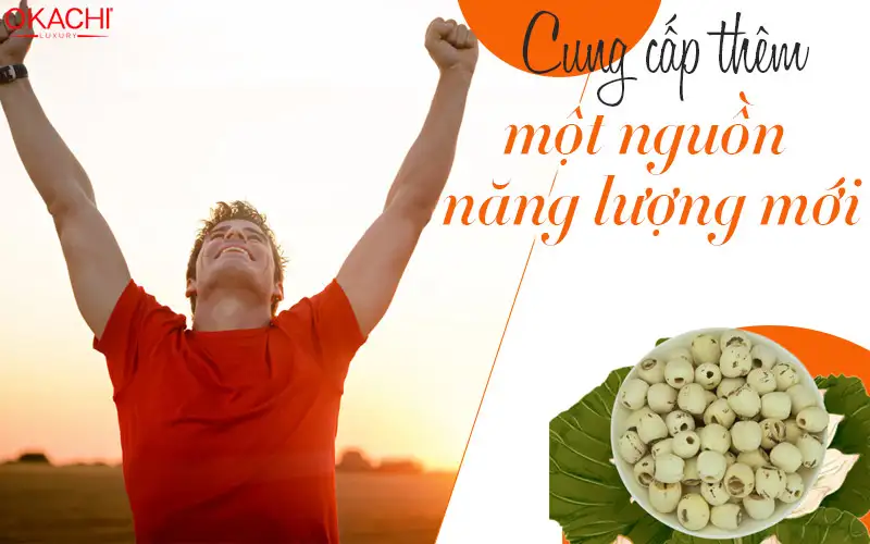 Cung cấp thêm một nguồn năng lượng mới