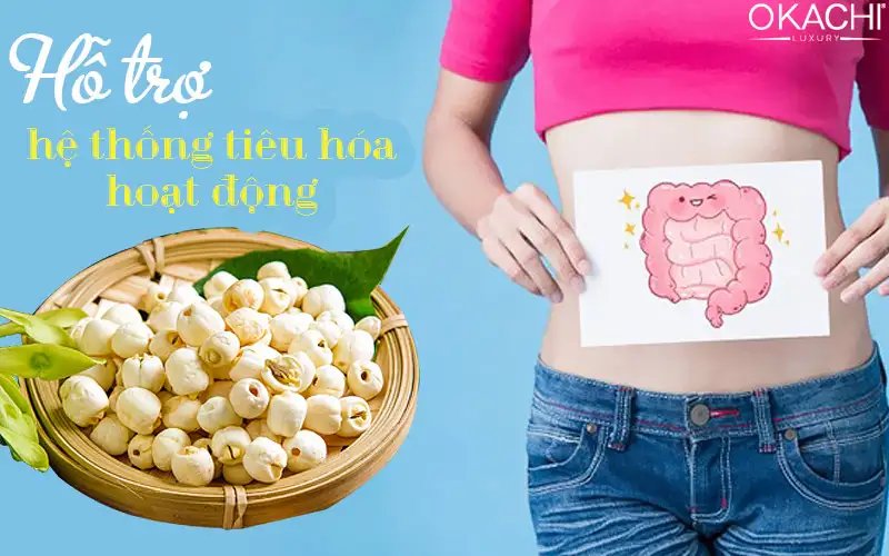 Hỗ trợ hệ thống tiêu hóa hoạt động