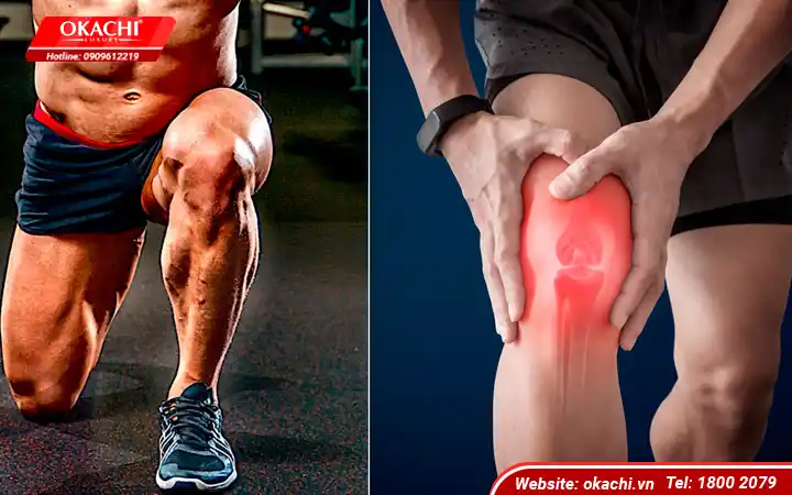 Các biện pháp phòng ngừa