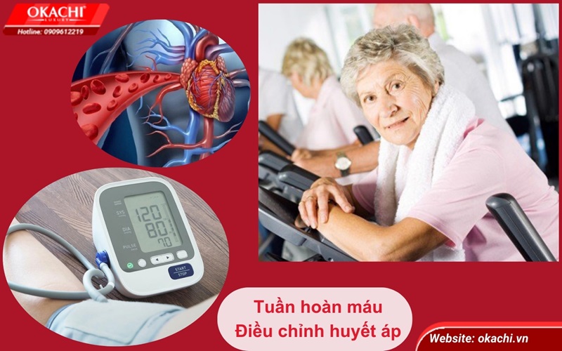 Tăng cường tuần hoàn máu