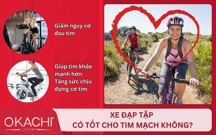 xe dap dap co tot cho tim mach hay khong
