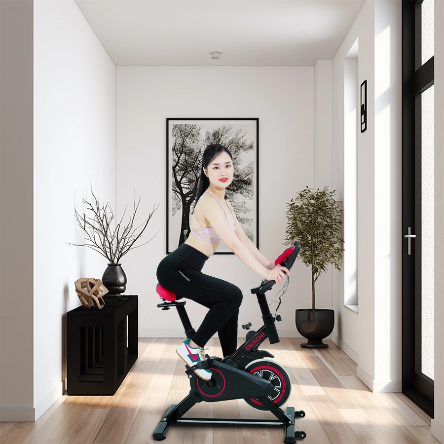 Xe đạp tập thể dục OKACHI JP-420