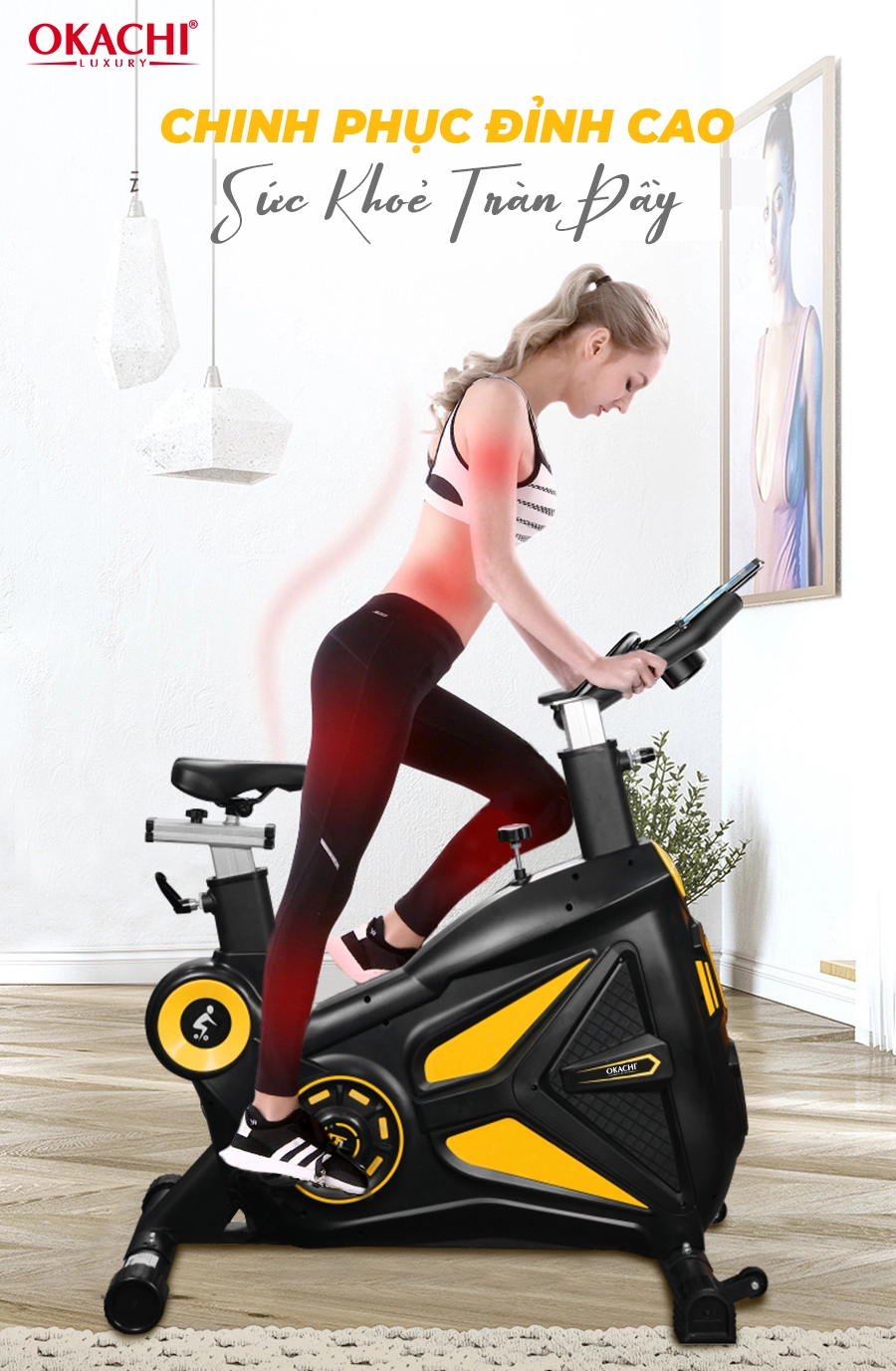 Xe đạp tập thể dục OKACHI SPORT JP-598A