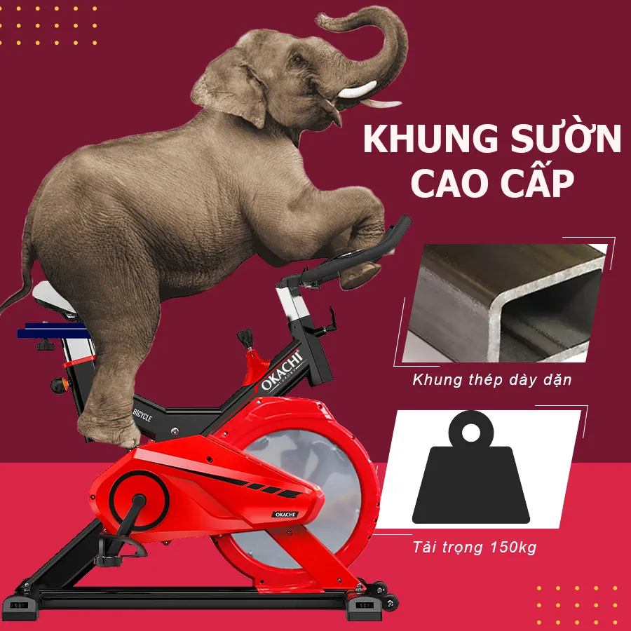 Xe đạp tập thể dục OKACHI SPORT JP-589A