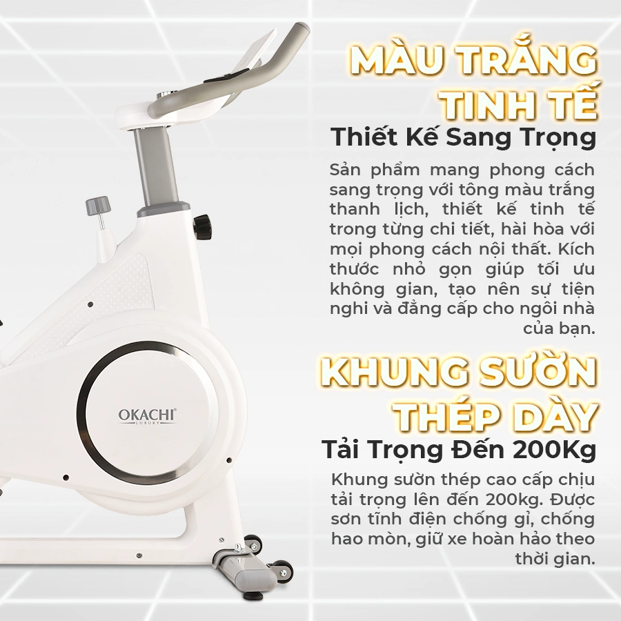 Xe đạp tập thể dục OKACHI JP-599A