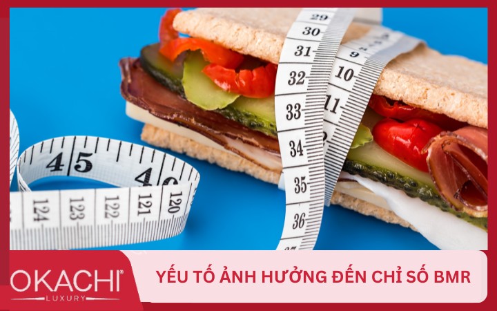 yeu to anh huong den chi so bmr