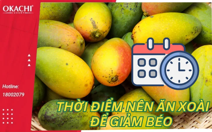 Giải đáp ăn xoài có béo không và cách ăn xoài GIẢM CÂN sống khỏe mỗi ngày